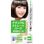 ダリヤベネゼル ナチュラルストレートパーマ (ショートヘア部分用)1セット