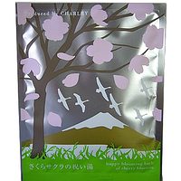 㡼꡼ ܥХХå 饵νˤ (2110-0510