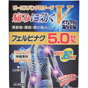 【第2類医薬品】【セ税】ビーエスバン FRテープV 40枚