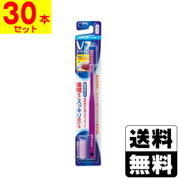 V7 ブイセブン <strong>歯ブラシ</strong> レギュラーヘッド ふつう【30本セット】※色はお選びいただけません。