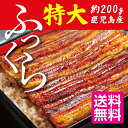 お中元 ギフト 【送料無料】 財宝 鹿児島県産 特大 うなぎ...