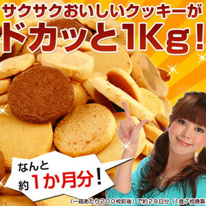 【送料無料】【37％OFF】【期間限定】夏用くっきー おいしいダイエットクッキー！夏の豆乳おからクッキー 1kg 8種類セット 【2012新生活・サマーセール】 YDKG