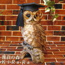 フクロウ 置物 リアルな鳥の置物 ふくろう博士 動物オーナメント 鳥 オブジェ フィギュア 陶器 インテリア 玄関先 雑貨 グッズ バードモチーフ トリ とり フクロウ 縁起物 オウル 梟 不苦労