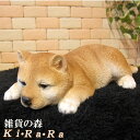 犬の置物 柴犬 ウトウトねむねむ しばいぬ シバイヌ しばけん ワンちゃん いぬ オブジェ リアル ドッグ モチーフ 毛並み こだわり オーナメント ガーデニング 愛嬌 カフェ インテリア ベランダアート