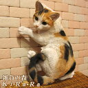 猫 置物 リアルな三毛猫の置物 キャット 伏せ Aタイプ ミケ 壁掛けタイプにもなります。動物オブジェ ガーデンオーナメント 装飾 フィギュア モチーフ インテリア 玄関先 庭 雑貨