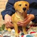 犬の置物 ラブラドールレトリバー お座りラージサイズ ワンちゃん いぬ オブジェ リアル ドッグ モチーフ 毛並み こだわり オーナメント ガーデニング 愛嬌 カフェ インテリア ベランダアート