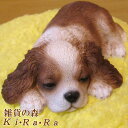 犬の置物 キャバリア ねむねむウトウト ワンちゃん いぬ オブジェ リアル ドッグ モチーフ 毛並み こだわり オーナメント ガーデニング 愛嬌 カフェ インテリア ベランダアート