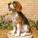 犬の置物 ビーグル お座りラージサイズ ワンちゃん いぬ オブジェ リアル ドッグ モチーフ 毛並み こだわり オーナメント ガーデニング 愛嬌 カフェ インテリア ベランダアート