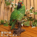 鳥の置物 オウム・グリーン◇動物オーナメント◇リアルな鳥の置物◇ガーデン◇オブジェ◇フィギュア◇ガーデニング◇陶器◇インテリア◇玄関先◇庭◇雑貨◇グッズ◇バードモチーフ◇トリ◇とり◇オウム◇コンパニオンバード