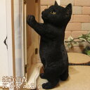 猫 置物 リアル 黒猫 くろねこ クロネコ キャット リアルな猫の置物 お願いキャット2 ブラック 動物オブジェ ガーデンオーナメント 装飾 フィギュア モチーフ インテリア 玄関先 庭 雑貨