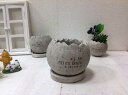 シャッスオズーポットLガーデンオーナメント プランター 鉢植え テラコッタ 穴あき ガーデンポット お庭 置物 おしゃれ 植木鉢 鉢 ホワイトグレー 受け皿つき 9011