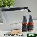 ハンドケアギフトセット マーチソンヒューム ミニハンドケア セット(本体 50ml×2本+ネイルブラシ) マーチソン・ヒューム(murchison-hume) Mini Hand care Set ハンドクリーム ハンドソープ ネイルブラシ 天然 保湿 アロマ 北欧