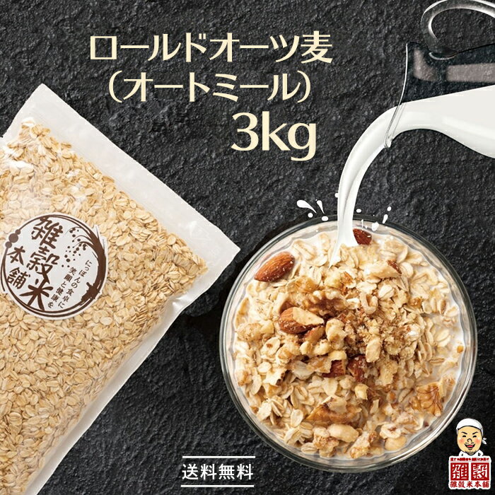 オートミール 3kg(500g×6袋) オーツ麦 燕麦 業務用 食物繊維 砂糖不使用 シリアル グラノーラダイエット 置き換えダイエット 送料無料