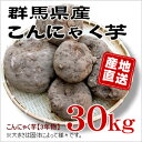 【群馬県産】★生芋こんにゃく手作り用こんにゃくいも★こんにゃく芋[30kg