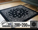 【200×200cm】Paisley Bandan