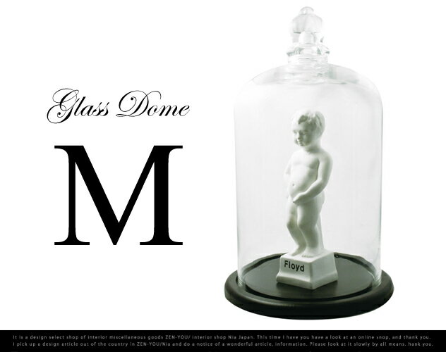 GLASS DOME　Floyd Msize/ガラスドーム　フロイド　 Mサイズ　ショーケース【あす楽対応_東海】
