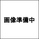 NX}X ̒ʔ̏