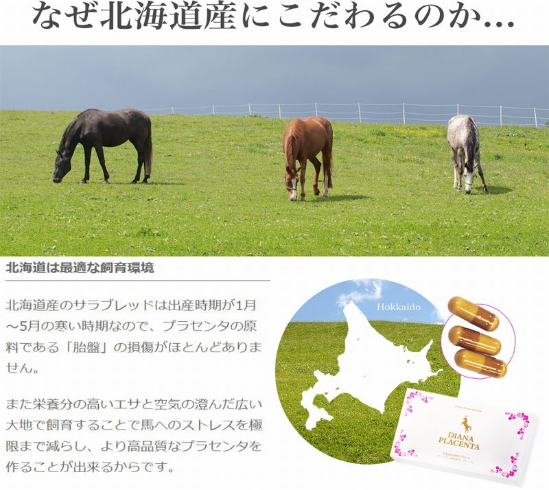【送料無料】 お得な6個セット 100%北海道産サラブレッドのみ使用 ダイアナプラセンタ 30粒 02P28Sep16