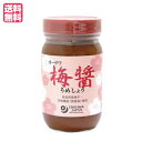 【ポイント6倍】最大33倍!梅醤 練り梅 うめびしお オーサワ 梅醤(うめしょう) 250g