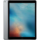 softbank iPad Pro 12.9インチ Wi-Fi+Cellularモデル 128GB グレイ 本体のみ Dランク 【白ロム】【中古】【中古スマホ】【中古携帯】【エコモ】