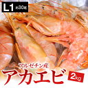 =【赤海老刺身用特大サイズ】=業務用/アルゼンチン赤エビ 特大 L1サイズ(約30尾)2kg生食用/アカエビ/大海老