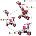  送料無料！ smarttrike （スマートトライク） ベビーカー＆三輪車 「Dream line （ドリームライン）」送料無料！