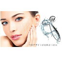 ≪送料無料≫上品美容ローラー 小顔ローラー マッサージローラ...
