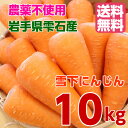 【送料無料】無農薬 雪下人参10kg 訳あり 規格外品 にん...