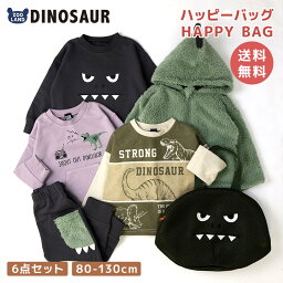 2024年 新春福袋 <strong>恐竜</strong> ダイナソー 6点セット もこもこジャケット ロンT 長袖Tシャツ <strong>トレーナー</strong> 裏毛 スウェットパンツ メッシュバッグ ( 80-130cm ) キッズ ベビー ハッピーバッグ 福袋 コーデ 着ぐるみ 80cm 90cm 95cm 100cm 110cm 120cm 130cm