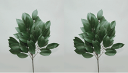 全長約34cm【2本組*新榊の束(S)】1束売(新サカキ小*318906×2本)使用*AZ-SA-SN*当店でフローラテープで巻き販売