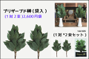 ≪プリザーブド榊*1対≫【プリザーブド榊1対】2束袋入*144109生木をプリザーブド加工した束≪生木の榊 榊 プリザーブド榊≫