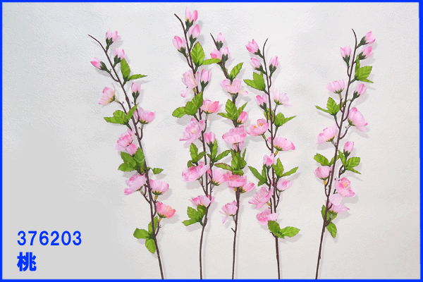 S63cmỷԁz1{*376203(Ԍa1?4cm*11֕t)