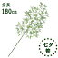 【全長180cm2分割七夕笹】10本枝 七夕用笹*LET-0221-L雨にも強い(プラスティック製)(日本製品)