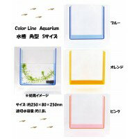 Color Line Aquarium 水槽 角型 Sサイズ ブルー・AQUA‐SS‐BL 1017456