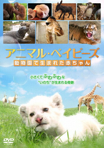 アニマル・ベイビーズ　動物園で生まれた赤ちゃん/ＤＶＤ/TWAD-1430