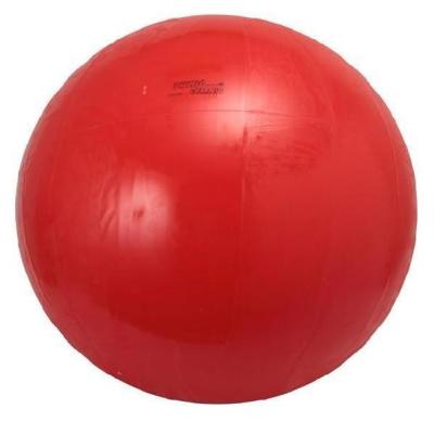 ダンノ DANNO ギムニクカラーボール 120 D5438