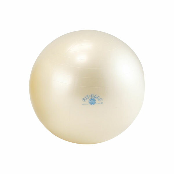 ダンノ DANNO 4529686024743 フィットボール55 パールホワイト D5920