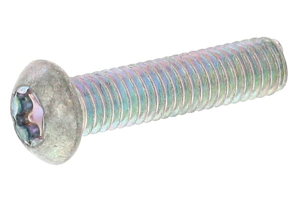 サンコーインダストリー 3価ホワイト TORX-ボタンCAP 8×30