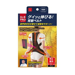ドクタープロ グイッと伸びる背筋ベルト L(1枚入)