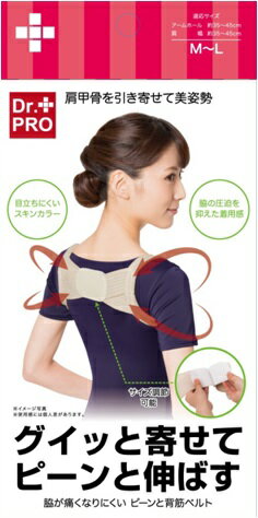 脇が痛くなりにくいピーンと背筋ベルト M-L