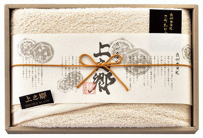 ホテルタイプ プレミアム高吸水 バスタオル L9042584