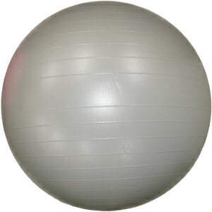 Natu Rani バランス感覚を鍛えるボディボール 75cm シルバー NR-2242