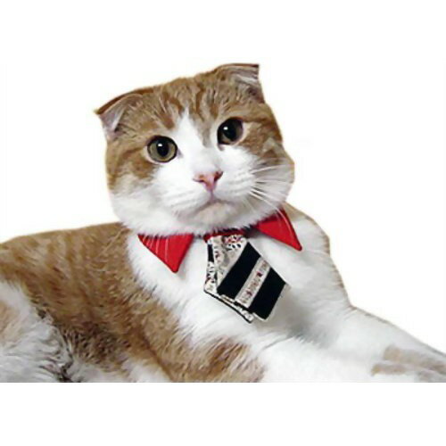 キャットプリン ネクタイシャツ おしゃれレッド(1枚入)