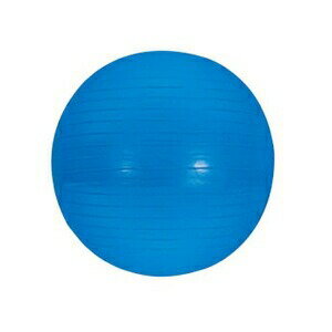 エバニュー EVERNEW バランスボール ジムボール 65 ETB624