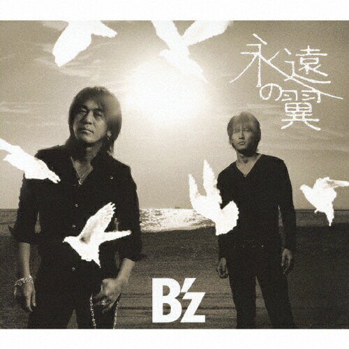 永遠の翼/ＣＤシングル（１２ｃｍ）/BMCV-5015