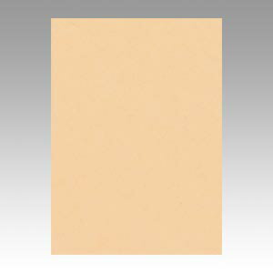 ニューカラーR 4NCR-111 71931