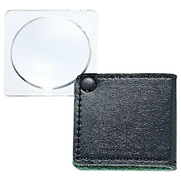 ポケットリーディングルーペ　パック式 4134-09 63851