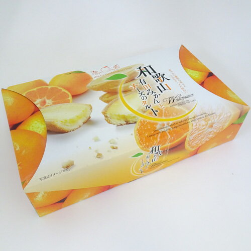 前田製菓 有田みかんとチーズのタルトケーキ 9個
