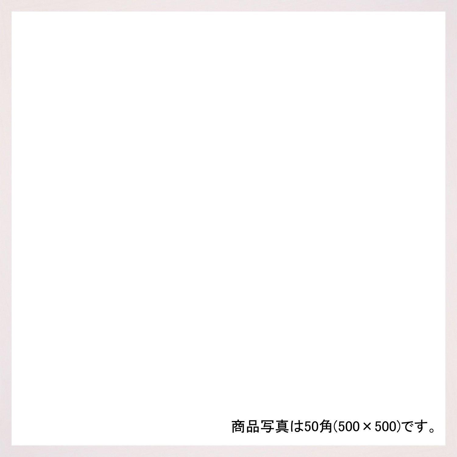 安井商店 デッサン額 木製フレーム 正方 桜平型 乳白 50角500×500 アクリル 1648582