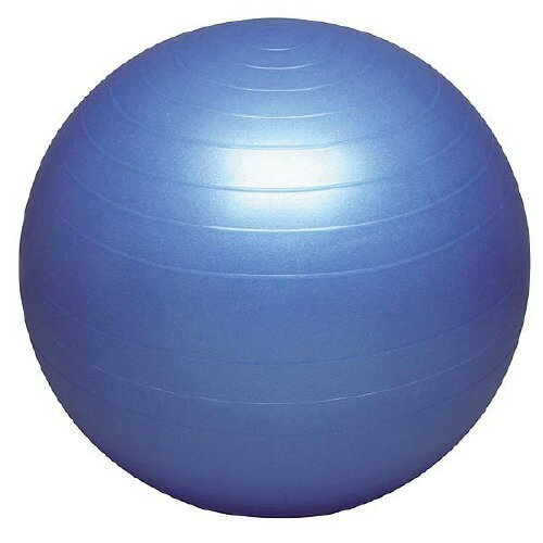 バランスボール セイフティー DB55(55cm)